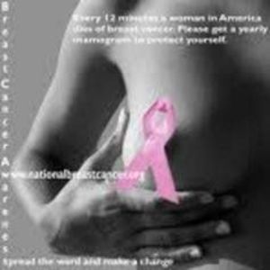 Meet your Posher, Kay